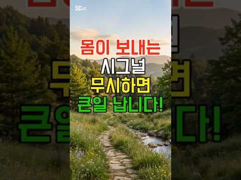 장 건강과 면역력의 의학적 연관성: 놀라운 영향 분석