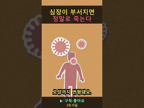 사랑하는 사람을 잃은 슬픔: 의학적 관점에서 본 상심증후군 증상과 대처