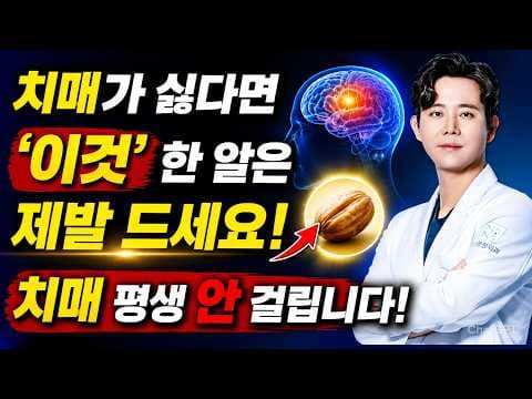 뇌 건강 망치는 식습관과 생활 습관 3가지 | 의학 정보