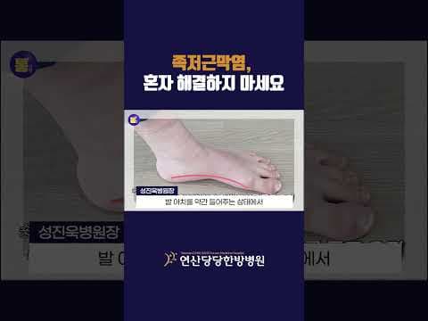 족저근막염 의학 정보: 통증 완화 스트레칭 및 관리법 알아보기