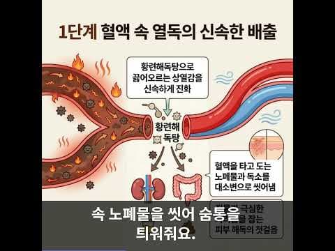면역력 리모델링 의학: 치료 시 주의해야 할 3가지 생활 습관