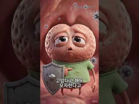 필수 장기 건강 의학 정보: 간, 비장, 편도선, 맹장 기능과 관리법