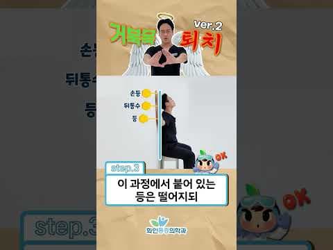 의학: 목디스크 완화 운동, 자세교정 스트레칭으로 통증 잡기!