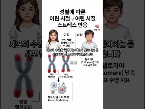 의학: 노화 원인과 늦추는 4가지 방법, 건강하게 나이 들기