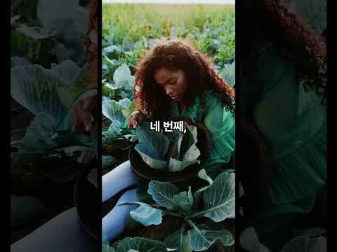 의사가 추천하는 봄철 건강 음식 TOP5: 춘곤증 극복!