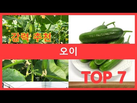 미니오이, 백다다기오이 효능: 의학적 분석과 오이 추천