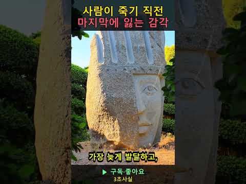 임종 직전 마지막 감각, 청각의 중요성: 의학적 의미