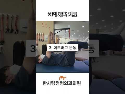 허리 건강 의학: 통증 없는 허리 운동을 위한 정확한 자세와 주의사항
