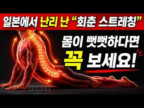 의학적 효과: 스트레칭으로 유연성 UP! 건강 지키는 방법