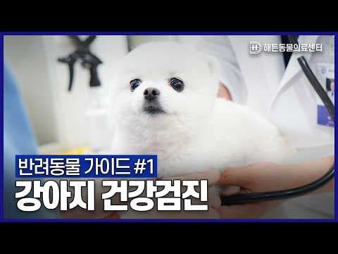 건강검진 전 의학적으로 알아야 할 사항: 금식, 약물, 영양제