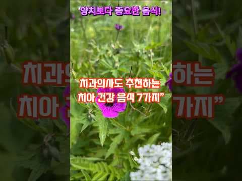 의학 전문가가 말하는 치아 건강 지키는 식습관 BEST 5
