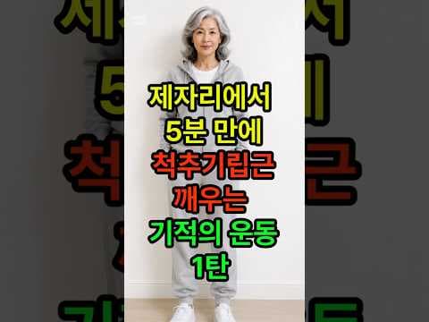 의학 정보 척추 재활 운동, 허리 통증 잡는 척추기립근 강화 비법 지금 확인해요!