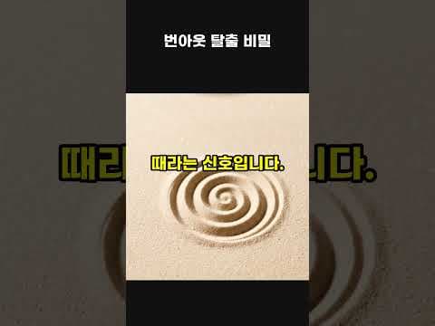 의학: 번아웃 회복 방법과 나를 위한 자기 관리 루틴