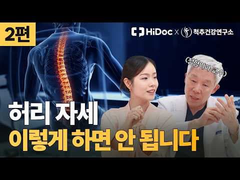 디스크 환자를 위한 자동차 의자 사용법: 허리 건강 지키는 의학적 운전 자세