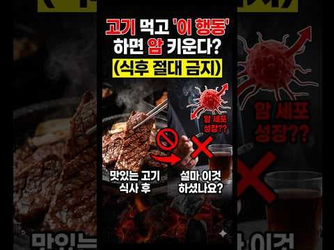 의학 전문가가 말하는 식후 습관, 놓치면 후회할 건강 루틴 BEST 5