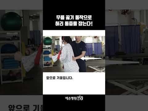 의학: 슬링 이용한 허리 통증 완화 재활 운동 효과 분석