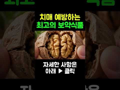 의학 전문가들이 극찬하는 뇌 건강 식단, 생호두 생들기름의 놀라운 비밀