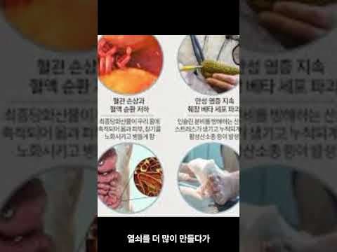 의학 상식, 당뇨병과 인슐린 제1형 제2형 차이점 자세히 알아보기
